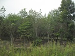 33641IMG_5830.JPG