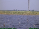 1516R0015207_tag.jpg
