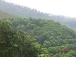 53656CIMG7030.JPG