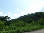20624P1020481.JPG