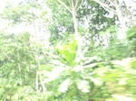 49546CIMG5883.JPG