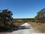 26140P1060825.JPG
