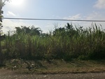 31285CIMG1147.JPG