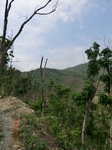 53748CIMG7148.JPG