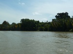 54654Bulungan (166).JPG