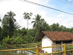 16339IMG_5119.JPG