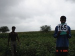 126060165c-irrigated-supplemental-major-lift-irrigation-maize-cotton-doublecrop-wheat-onion.gif