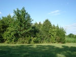 32555p206.jpg