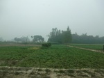 40116CIMG9182.JPG
