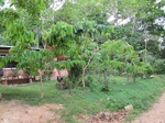 32092IMG_5590.JPG