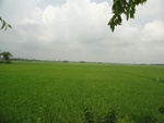 21699DSC00239.JPG