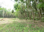 50590CIMG1219.JPG