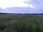 24838DSC01016.JPG