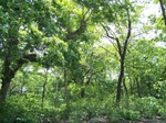 17509100_2766.JPG