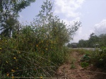 8933RIMG0007.JPG