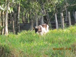 29970IMG_5386.JPG