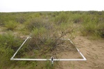 25995100E-2-IMG_1344.JPG