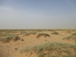 36625CIMG0394.JPG