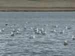 23254P1020856.JPG