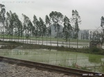 40518Anh5910.jpg