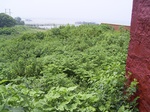 991R0015333.jpg