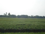 21825DSC08384.JPG