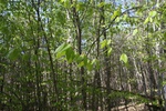 183IMG_4079.JPG