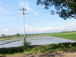 31407CIMG1270.JPG