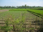 54201112.jpg