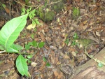 50204DSC02003.JPG