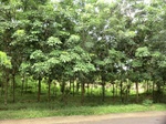 34869CIMG1540.JPG