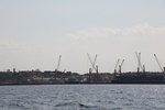 2024-08-05_17-04-29_8638ADA0-D1F0-4F1C-8A09-8B742651739A.jpeg