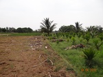 51891Tank ID 1800119 Nallahalli 2.JPG