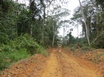 47251CIMG3588.JPG