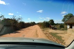 28475P1010486-1.JPG