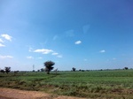 56330CIMG7077.JPG