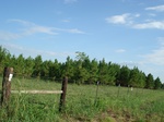 32562p213.jpg