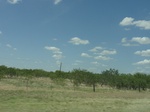 35137DSC02342.JPG