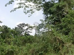 49543CIMG5880.JPG