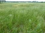 29200TALI20110519GPS.JPG