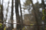 364IMG_3473.JPG