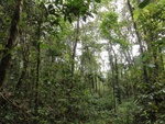 46709DSC02044.JPG