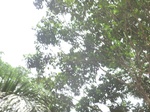 48811CIMG5148.JPG