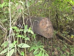 46854DSC02201.JPG