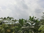 49548CIMG5885.JPG