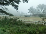 55664CIMG2439.JPG