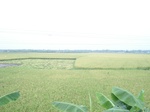 21917DSC08514.JPG