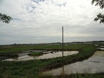 26117DSC01156.JPG