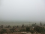 40283CIMG9026.JPG