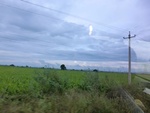 55916CIMG6639.JPG